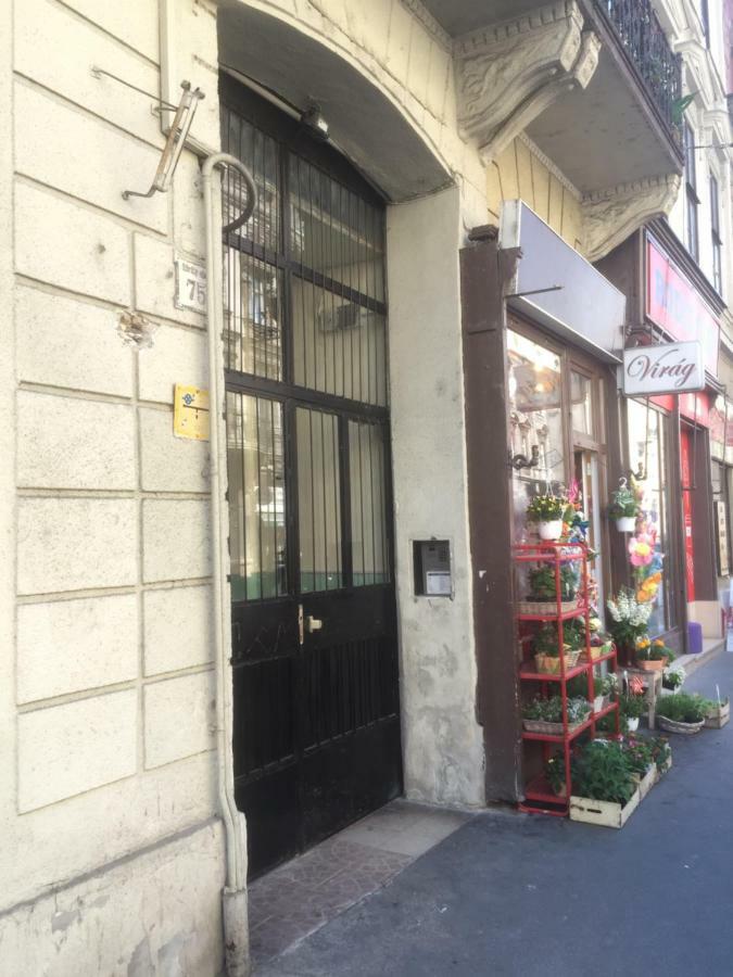 Ava'S Champagne Studio City Center-Andrash Street King Street Budapeşte Dış mekan fotoğraf